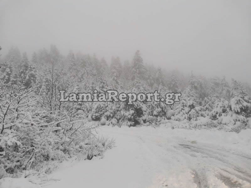«Θάφτηκαν» στο χιόνι τα ορεινά χωριά της Λαμίας (εικόνες – βίντεο)-3