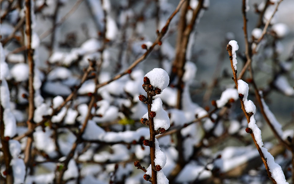 meteo-κοντά-στους-15c-η-θερμοκρασία-το-πρωί-σ-561690874