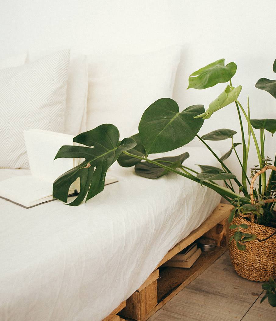 Πώς να διακοσμήσετε ένα φοιτητικό σπίτι-2