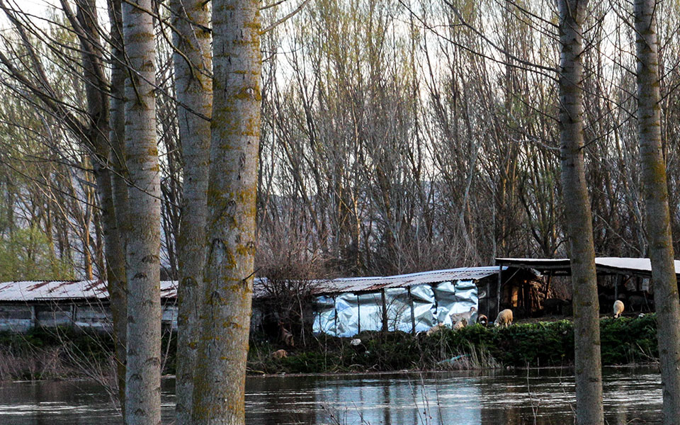 ηράκλειο-σε-εξέλιξη-επιχείρηση-για-το-561686233