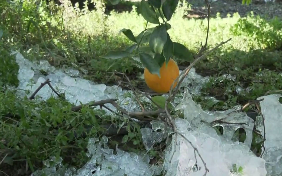 αργολίδα-τεράστιες-καταστροφές-στα-ε-561691429