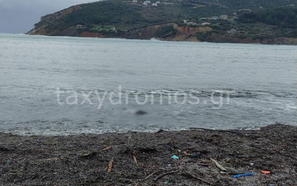 Θρίλερ στη Σκόπελο: Εντοπίστηκε πτώμα στο λιμάνι του νησιού (εικόνες)-2