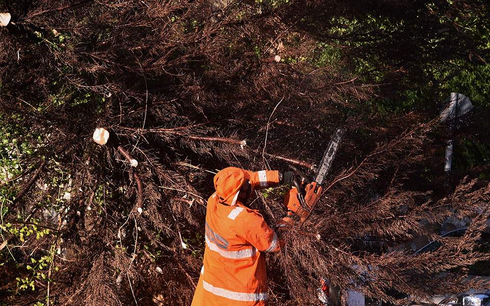 κακοκαιρία-ελπίδα-αποζημιώσεις-απ-561690991