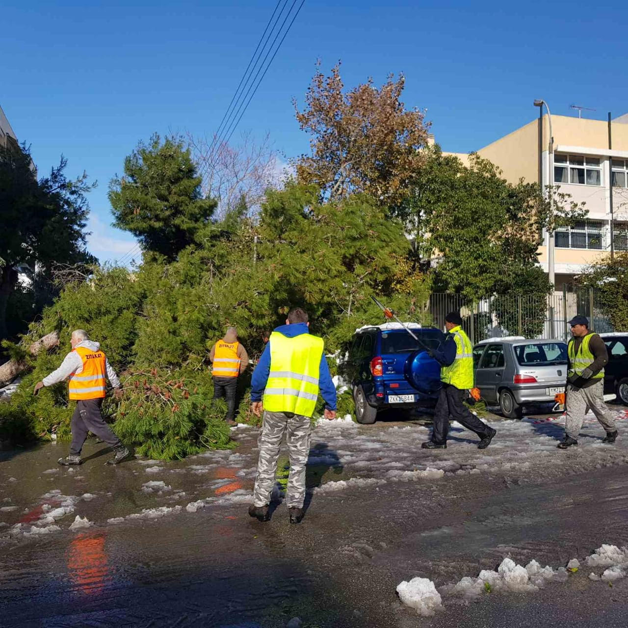 Κακοκαιρία Ελπίδα – Αττική: Συνεργεία υλοτόμων εργάζονται για την απομάκρυνση πεσμένων δένδρων (εικόνες)-1