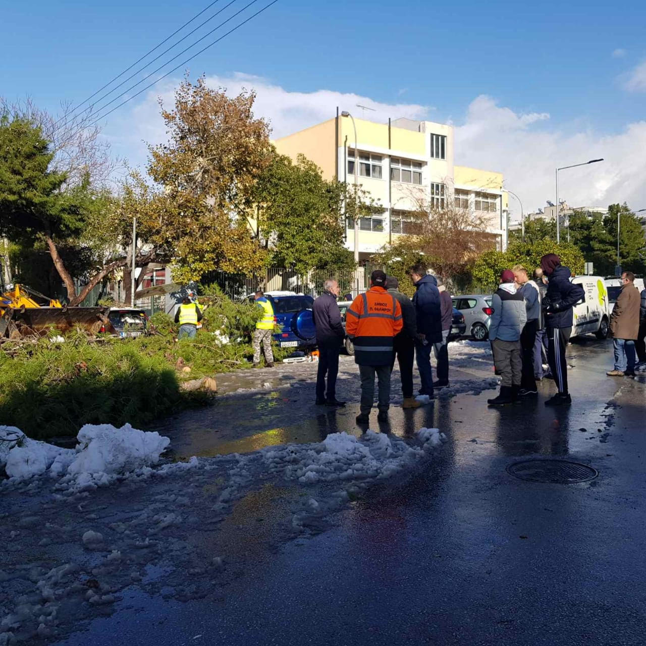 Κακοκαιρία Ελπίδα – Αττική: Συνεργεία υλοτόμων εργάζονται για την απομάκρυνση πεσμένων δένδρων (εικόνες)-5