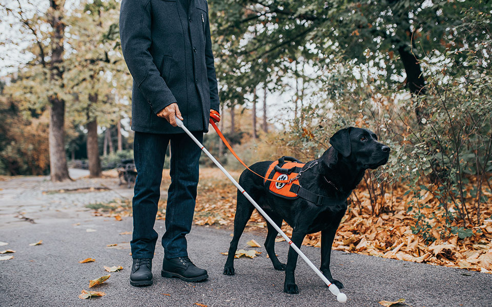 το-κόστος-της-φιλοζωίας-561654163