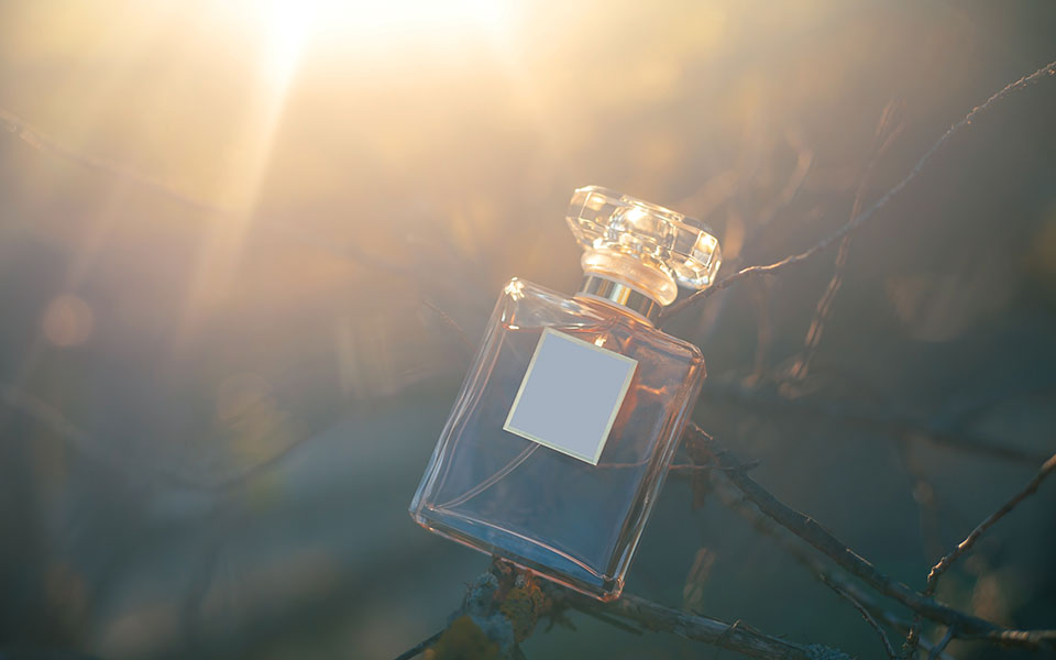 στα-μαχαίρια-η-οικογένεια-αρωματοπ-561695599