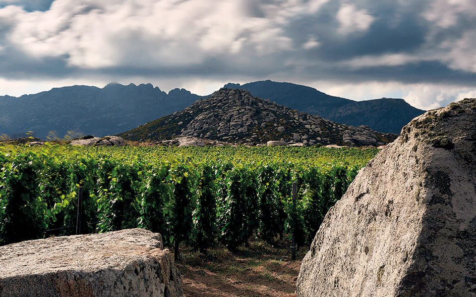 γιατί-τα-κρασιά-της-τήνου-είναι-διάσημ-561687847