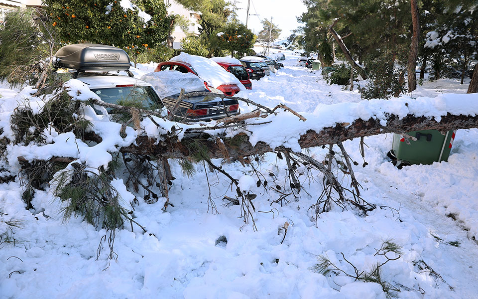 «Η κατάσταση είναι ακόμα δύσκολη»: Μαρτυρίες κατοίκων από 5 δήμους-9