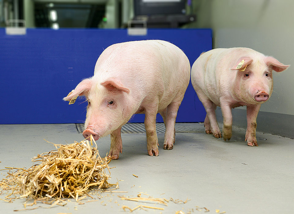 Διαβάστε στην «Καθημερινή της Κυριακής»-3