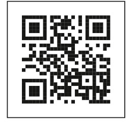 Λύκος εναντίον σκύλου: Μερικές σκέψεις για το περιστατικό της Πάρνηθας-1