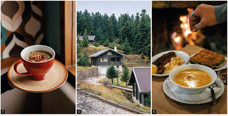 Παρνασσός: Μικροί-μεγάλοι στο χιονοδρομικό-10