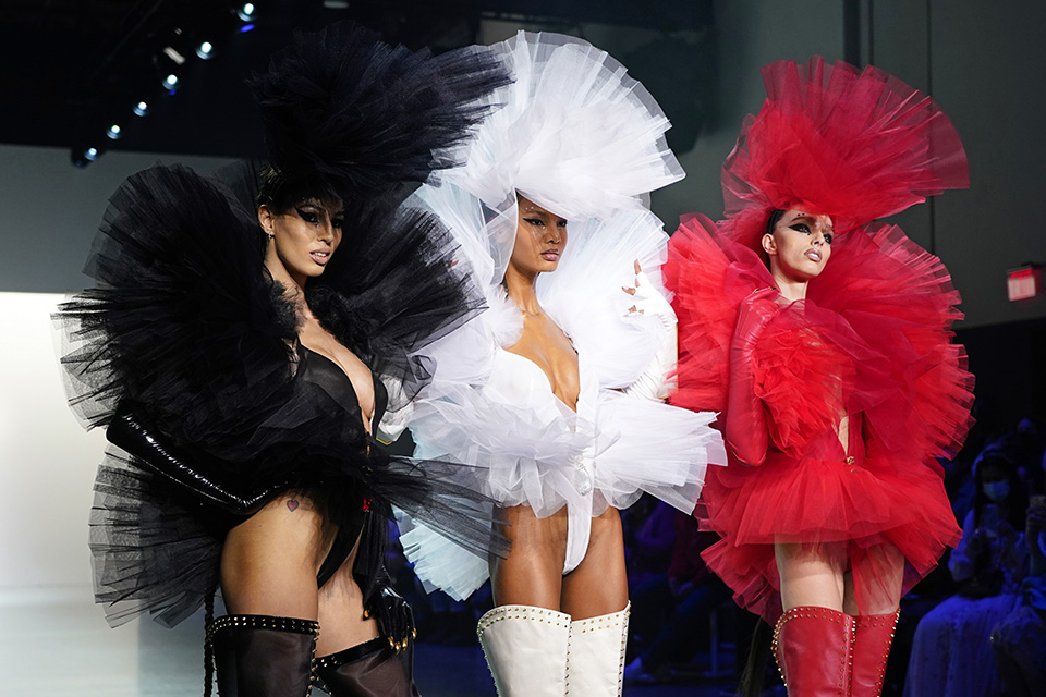 παραδείσια-πουλιά-561724165