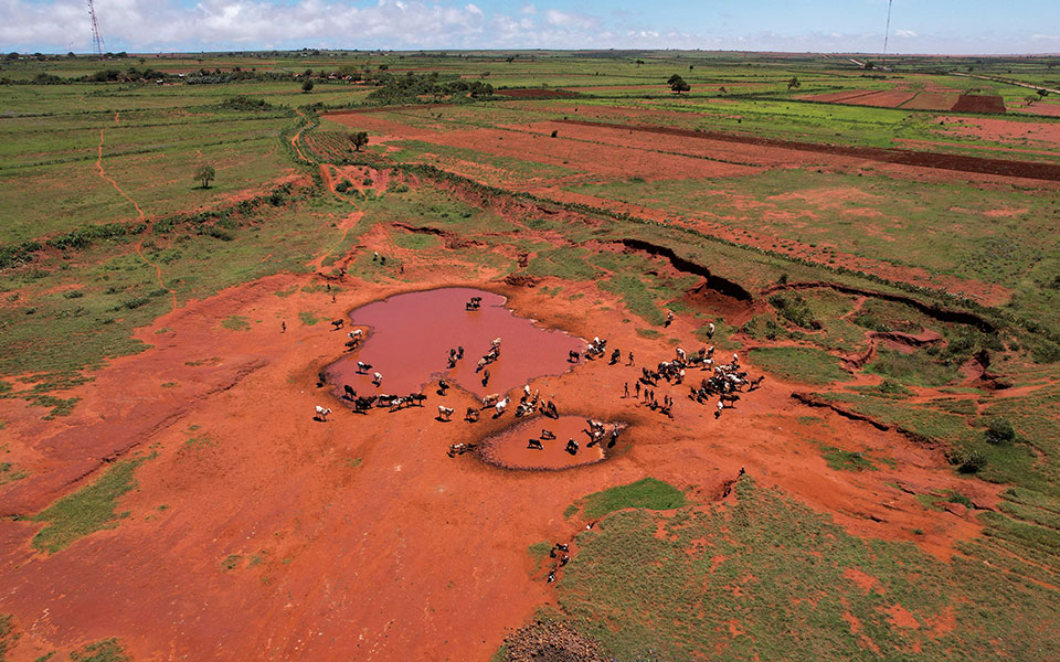 νεκρά-15-εκατομμύρια-ζώα-άφησε-πίσω-της-561719623
