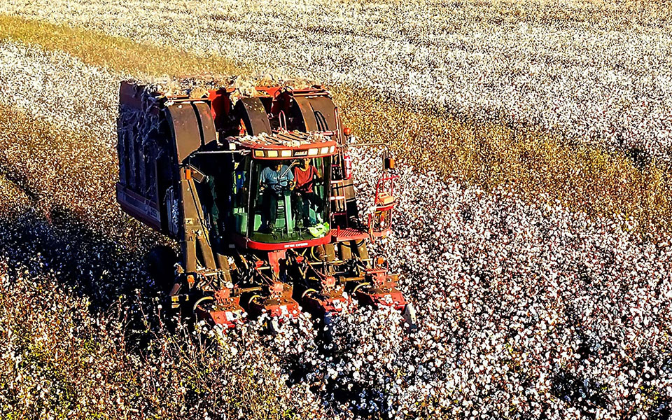 κυβέρνηση-σε-πρώτο-πλάνο-η-οικονομία-561705406