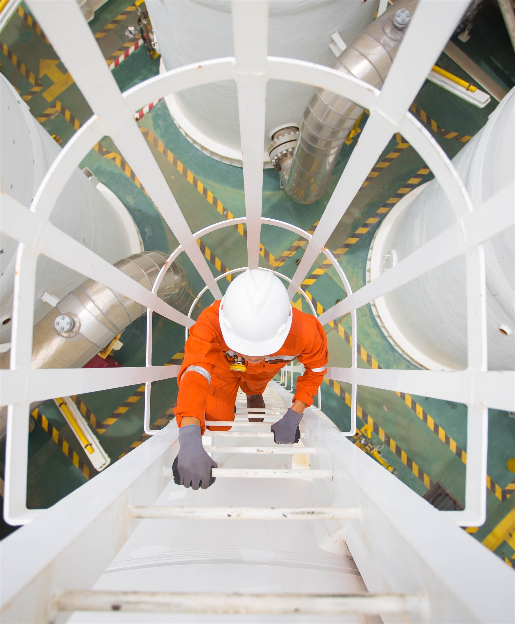 μέτωπο-τεσσάρων-χωρών-κατά-του-φυσικο-561698509