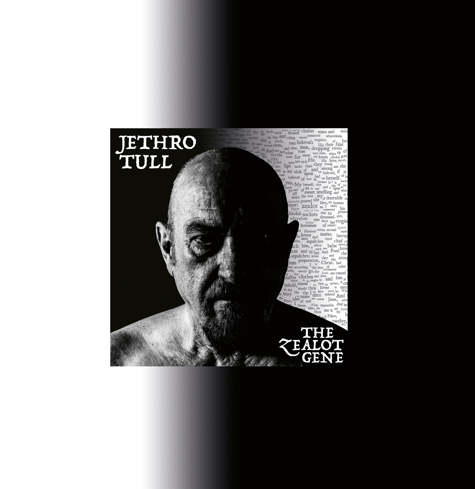 τρόποι-για-να-ακουστεί-ένα-φλάουτο-561713230