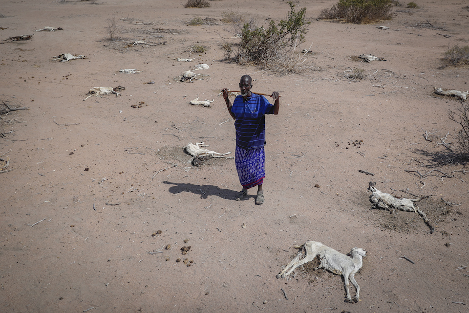 αν-αφρική-αντιμέτωποι-με-την-πείνα-δεκ-561725560