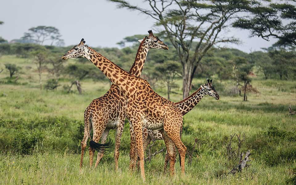6+1 εξωτικά ταξίδια με αφορμή-2