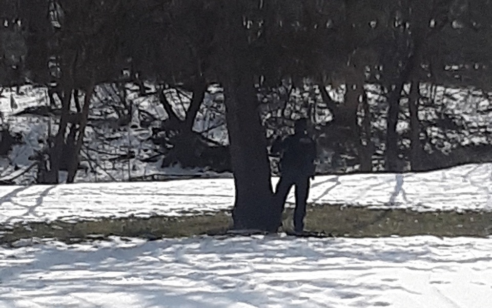 ηπα-νεκροί-από-σφαίρες-αστυνομικοί-πο-561698605