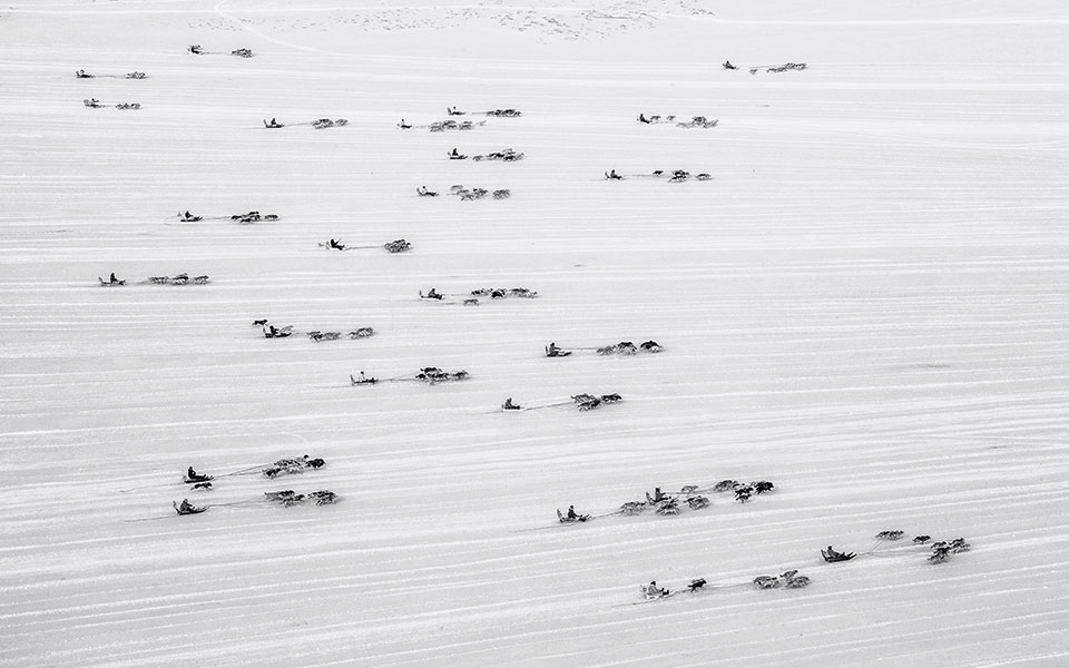 Greenland Unseen: Απίστευτες φωτογραφίες από κυνήγι άγριων ζώων στη Γροιλανδία-5