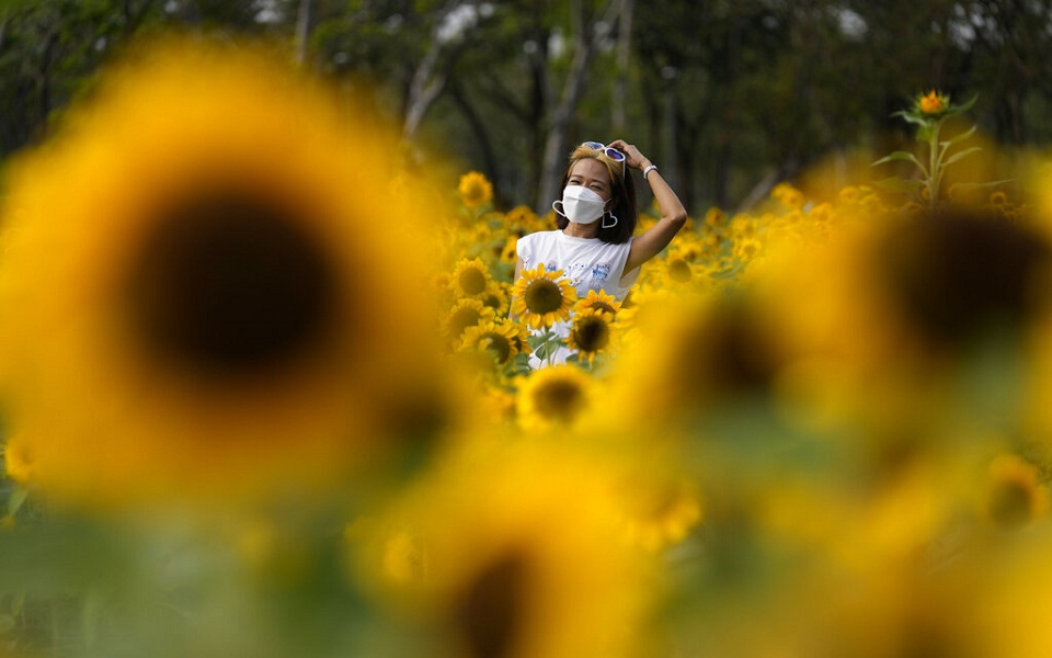 κορωνοϊός-έρευνα-δείχνει-αντισώματα-561708649