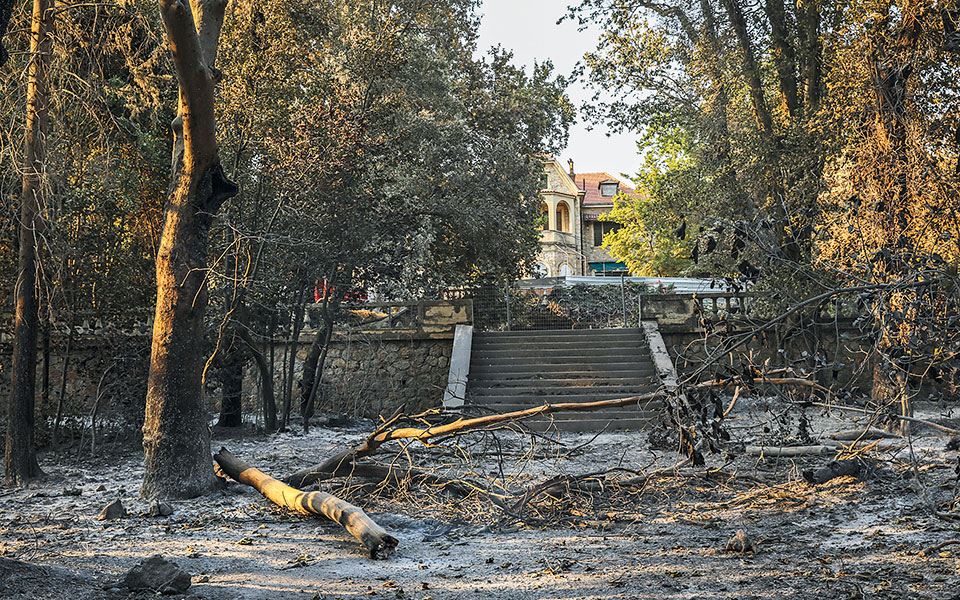 χτίζεται-το-νέο-τατόι-561698956