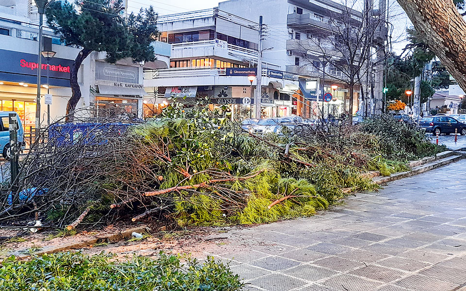 10-000-τραυματισμένα-δέντρα-από-τον-χιονιά-561701050