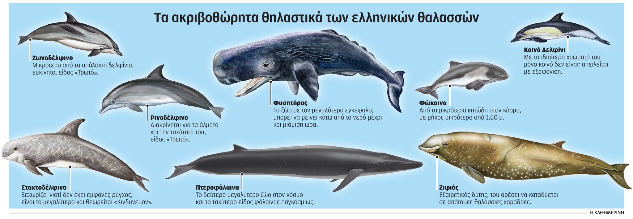 Το μήνυμα που μας άφησε ο ζιφιός-1