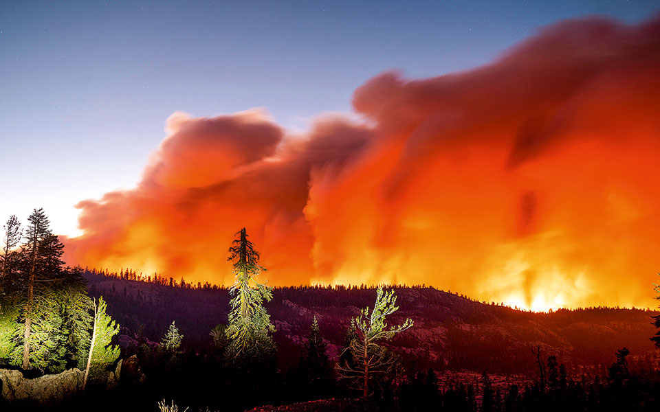 παγκόσμια-πανδημία-δασικών-πυρκαγ-561734866