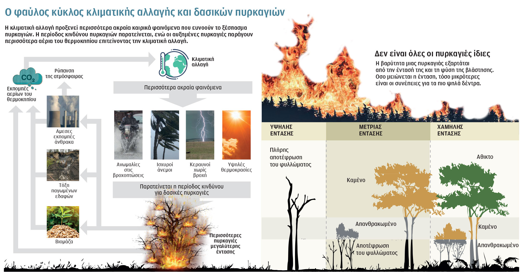 Παγκόσμια «πανδημία» δασικών πυρκαγιών-1