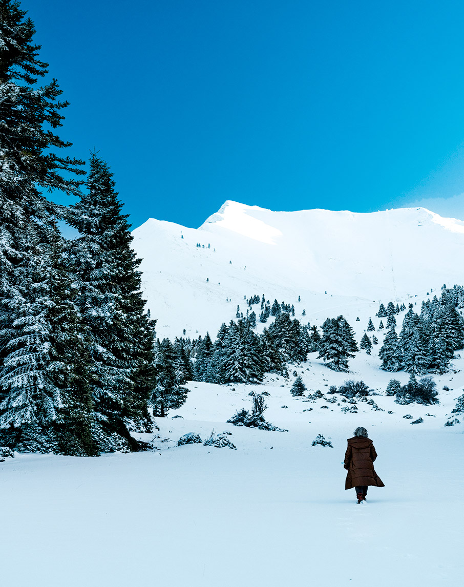 Καλάβρυτα δεν είναι μόνο ο Οδοντωτός-7