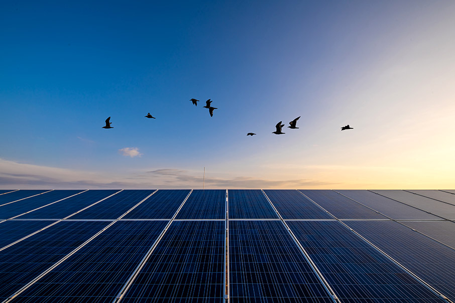 Με ισχυρό παγκόσμιο αποτύπωμα και σημαντικά έργα ενισχύει τη στρατηγική στις ΑΠΕ η MYTILINEOS, σε Ελλάδα και εξωτερικό-2