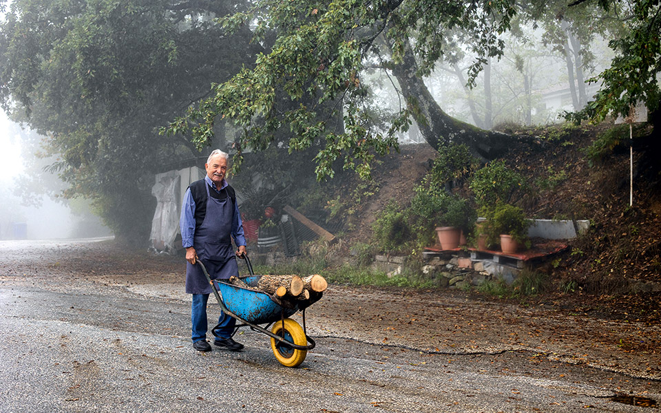 περί-ζωής-αφοσίωσης-και-φωτιάς-με-έναν-561712621