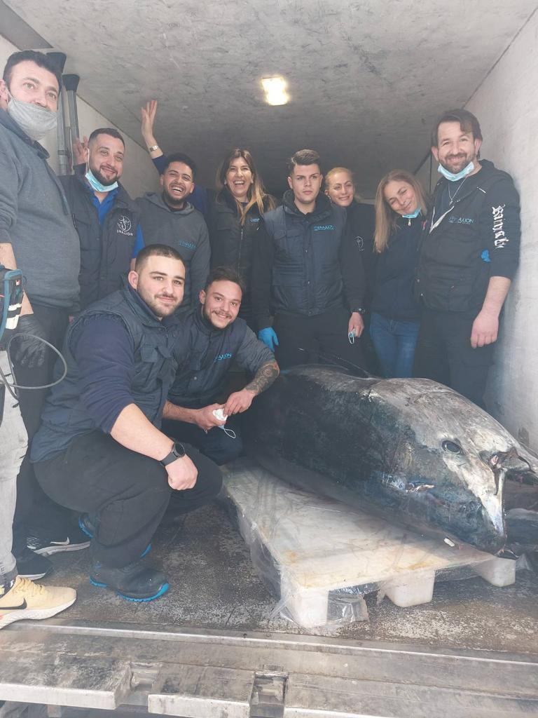 Ρέντη: Στην αγορά του καταναλωτή ένας τόνος 390 κιλών (εικόνα)-1