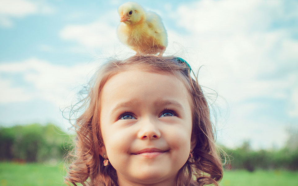 κατοικίδια-με-ημερομηνία-λήξης-561730942