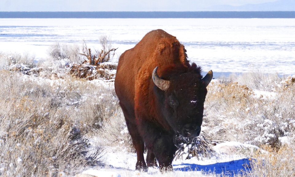 ΗΠΑ: Η Μεγάλη Αλμυρή Λίμνη στη Γιούτα κινδυνεύει άμεσα (εικόνες)-3