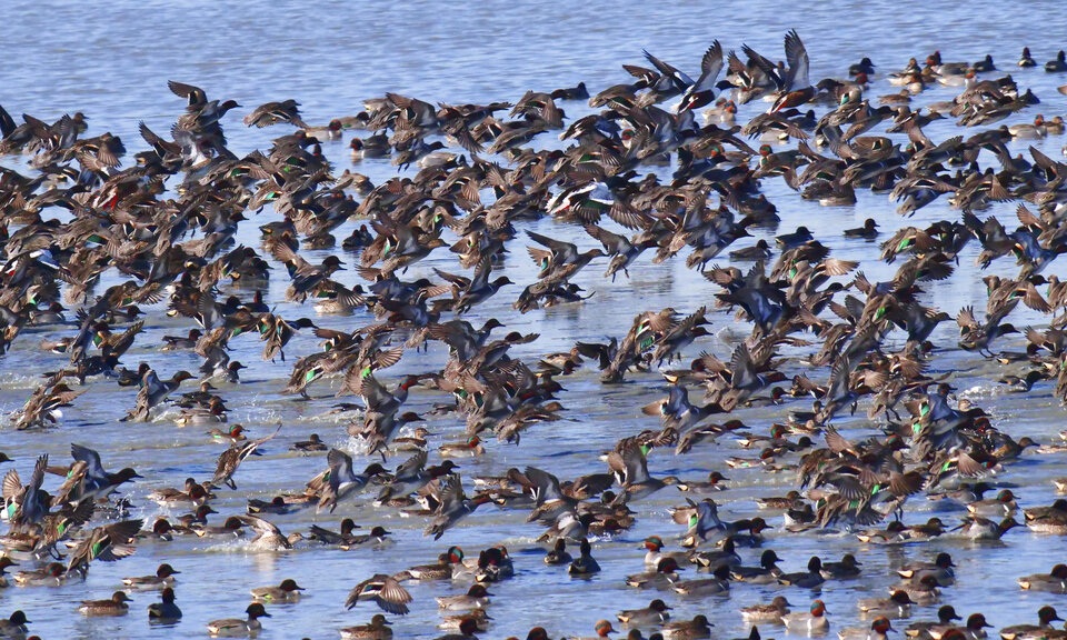 ΗΠΑ: Η Μεγάλη Αλμυρή Λίμνη στη Γιούτα κινδυνεύει άμεσα (εικόνες)-5