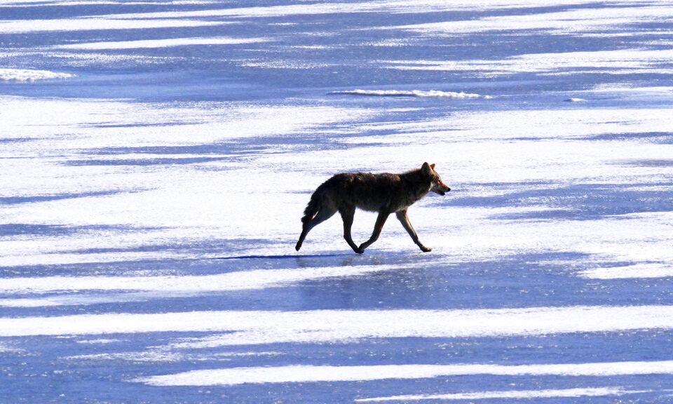ΗΠΑ: Η Μεγάλη Αλμυρή Λίμνη στη Γιούτα κινδυνεύει άμεσα (εικόνες)-4