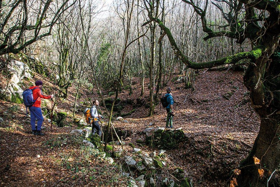 Πεζοπορίες με… θέα στις γραμμές του τρένου-1