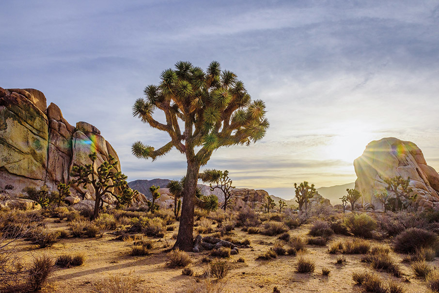 Νότια Καλιφόρνια: ένα road trip γεμάτο ήλιο, θάλασσα και θέα στον Ειρηνικό-6