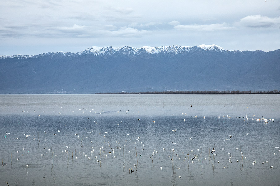6 συναρπαστικές διαδρομές σε λίμνες και ποτάμια της ηπειρωτικής Ελλάδας-1
