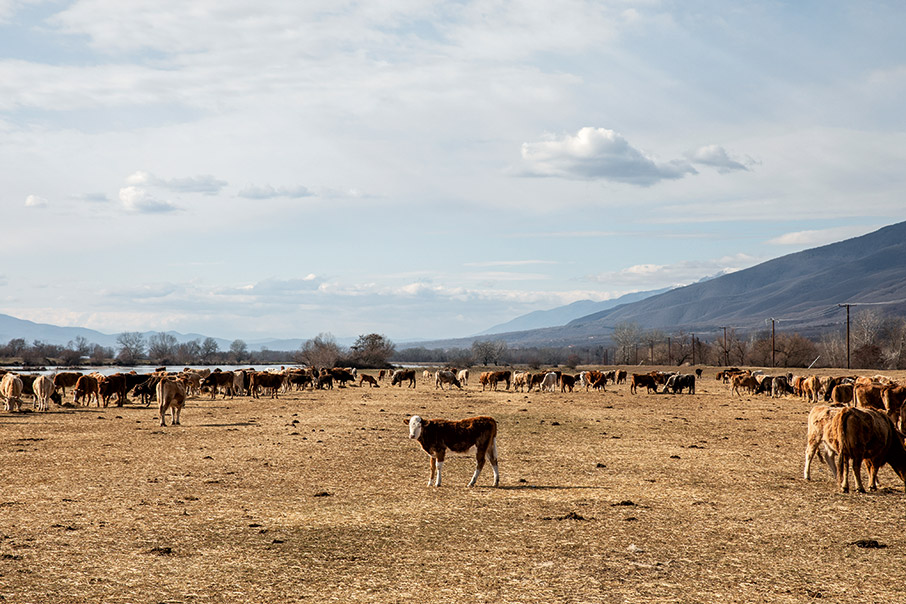 6 συναρπαστικές διαδρομές σε λίμνες και ποτάμια της ηπειρωτικής Ελλάδας-2