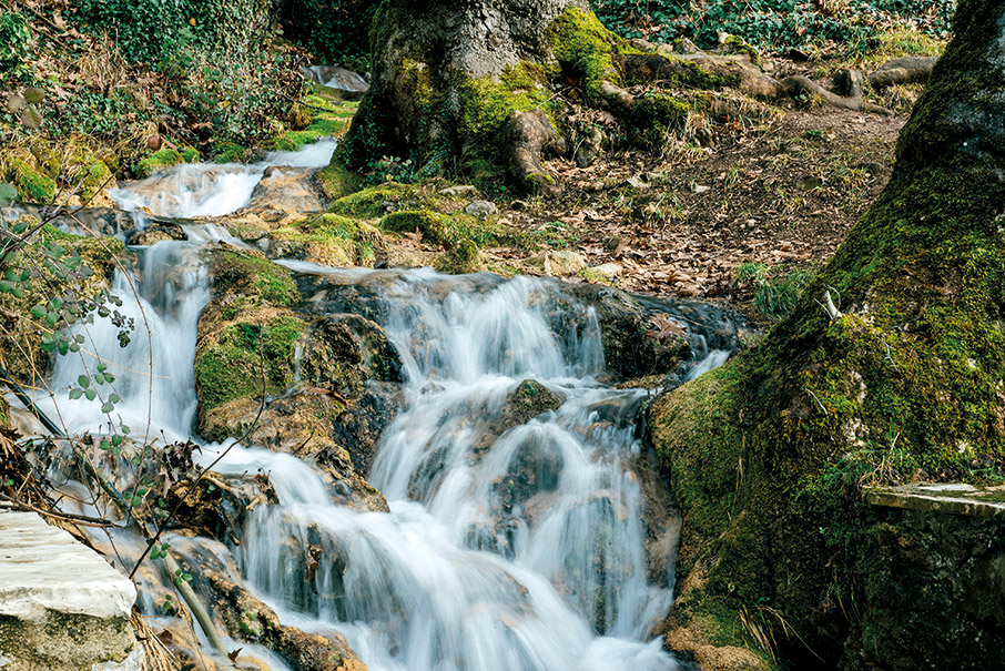 Παρνασσός: Μικροί-μεγάλοι στο χιονοδρομικό-8