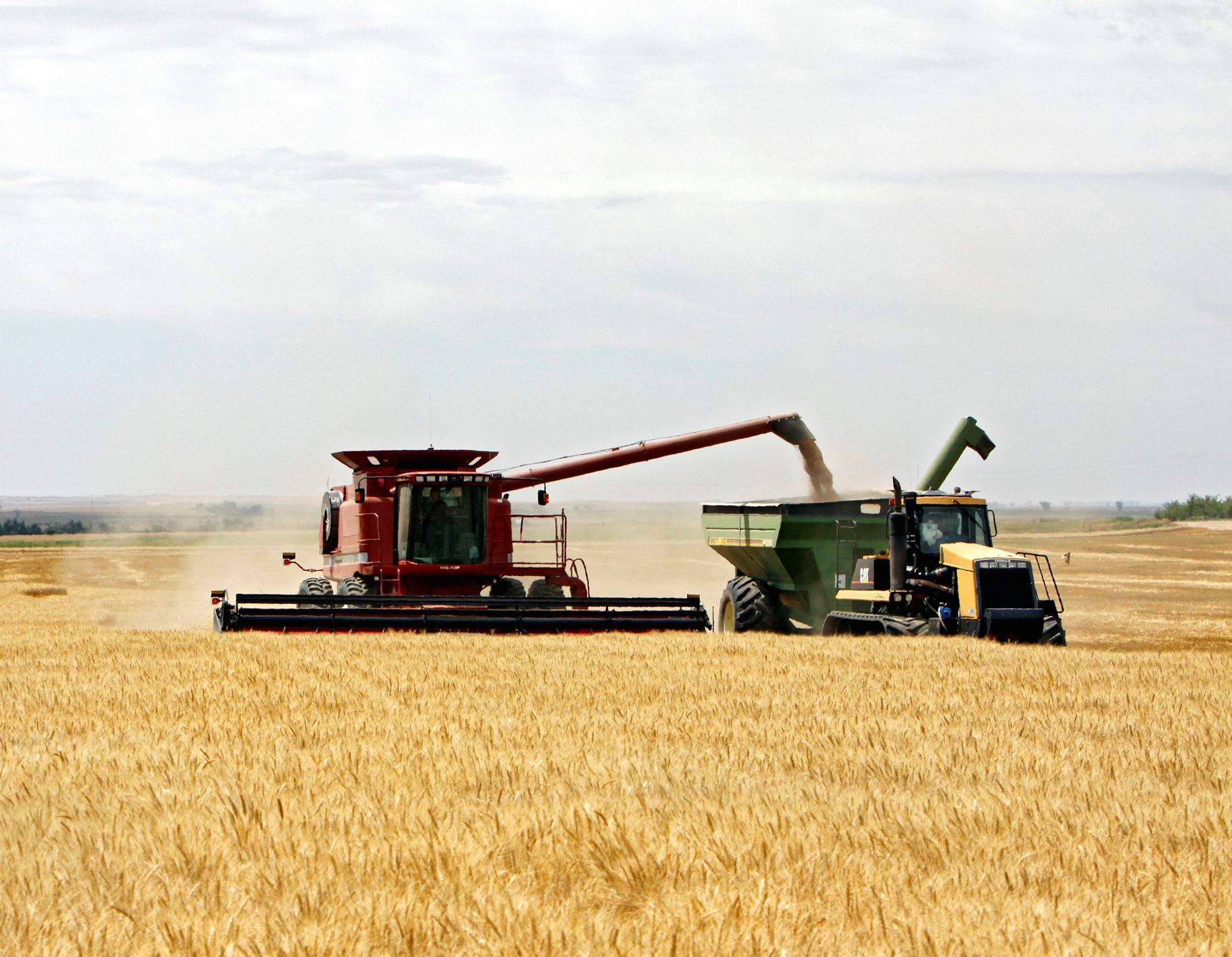 ο-πόλεμος-στην-ουκρανία-φέρνει-νέες-αυ-561736207