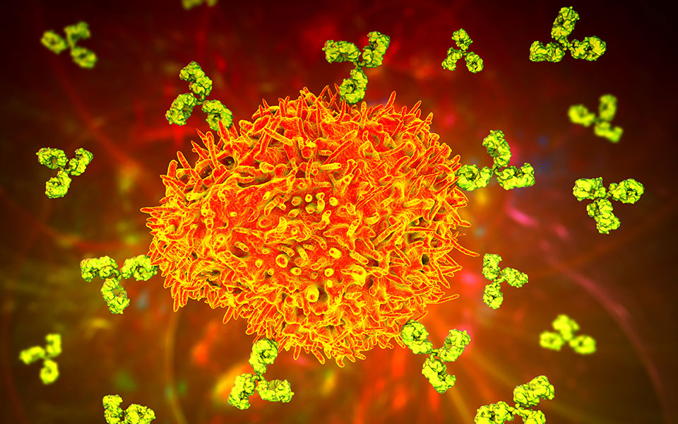 κορωνοϊός-τα-κύτταρα-που-μπορούν-να-σα-561718648