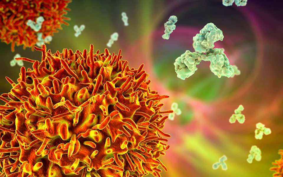 Κορωνοϊός: Τα κύτταρα που μπορούν να σας προσφέρουν σούπερ ανοσία-1