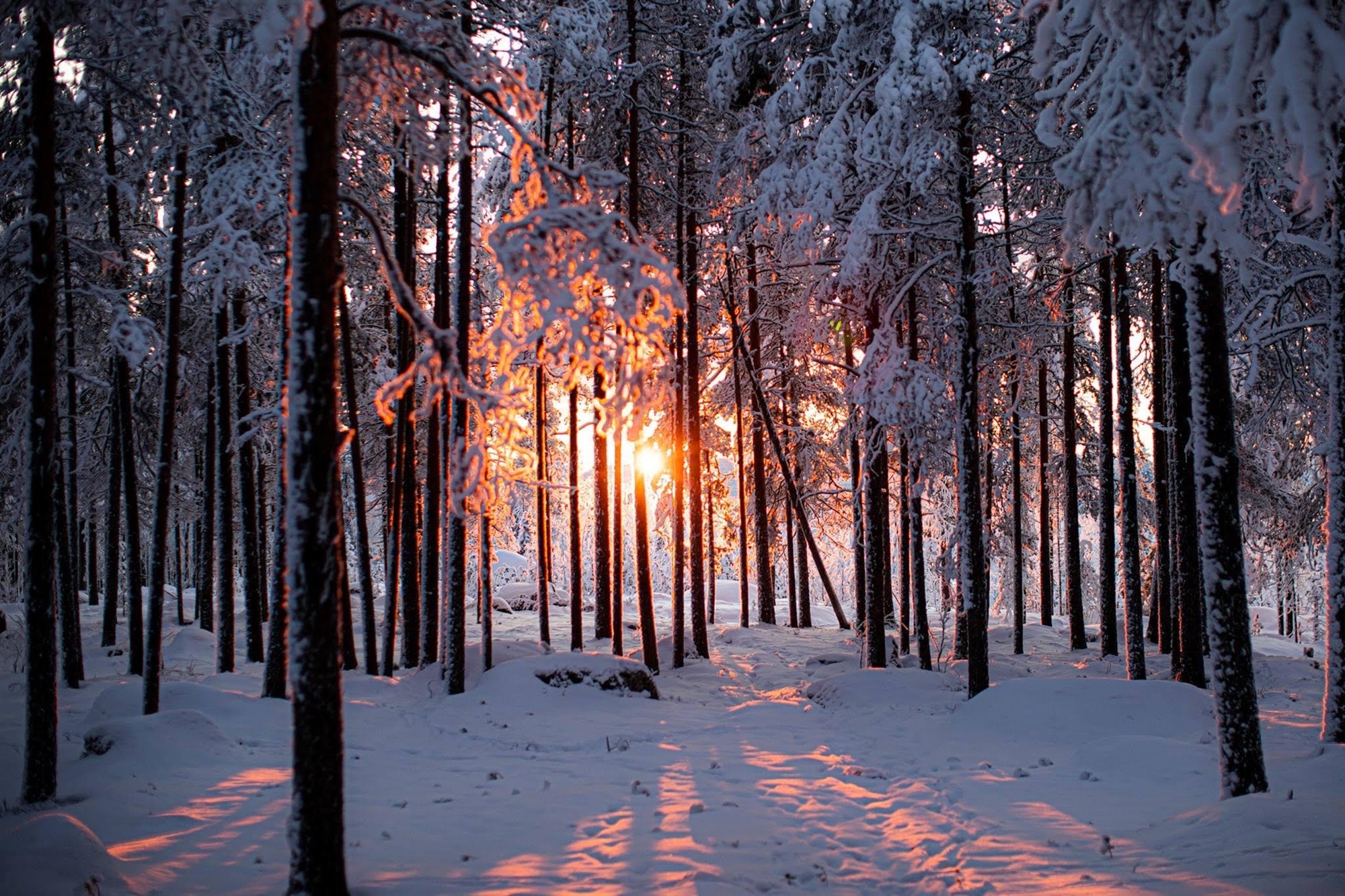 Μάριος Γιαννάκου: O υπεραθλητής που τρέχει με ορμή για το περιβάλλον-1