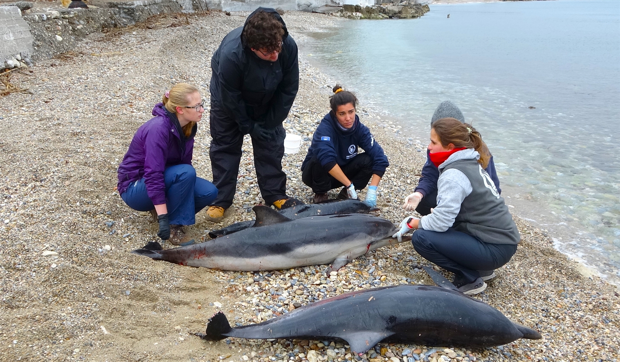 Το μήνυμα που μας άφησε ο ζιφιός-2