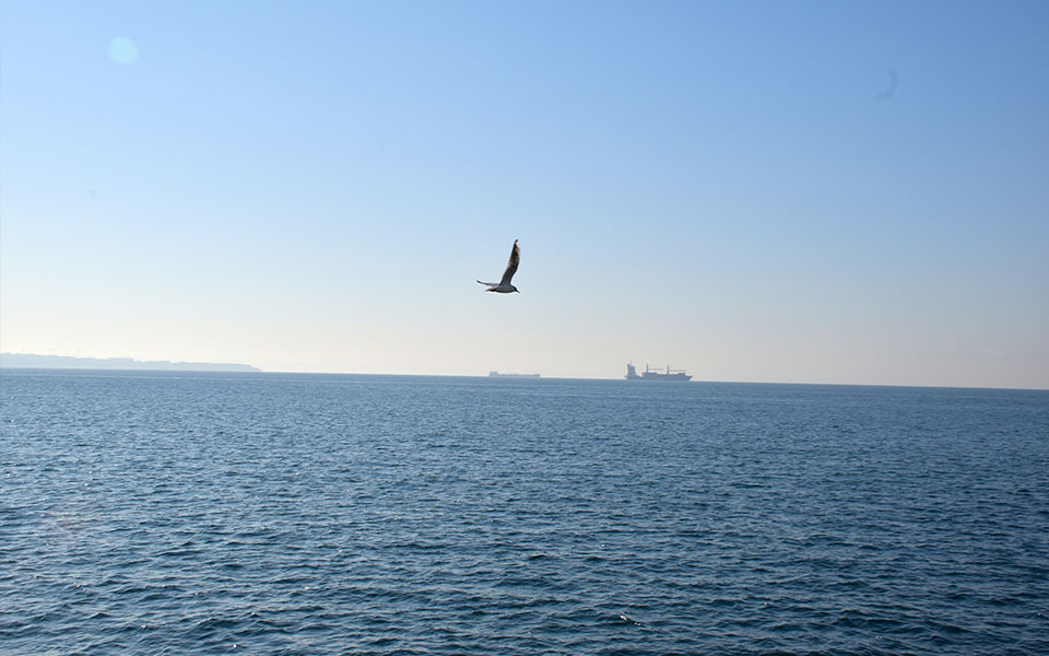 αίθριος-ο-καιρός-την-παρασκευή-με-μικρ-561713716